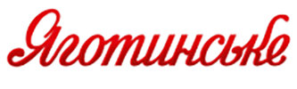6 Yagotynska 2